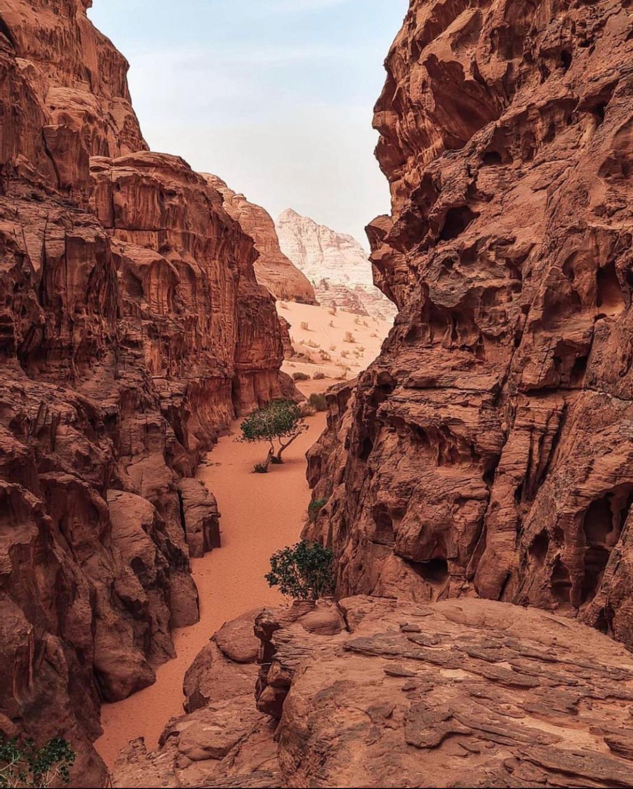Rum Magic Luxury Camp Wadi Rum Ngoại thất bức ảnh